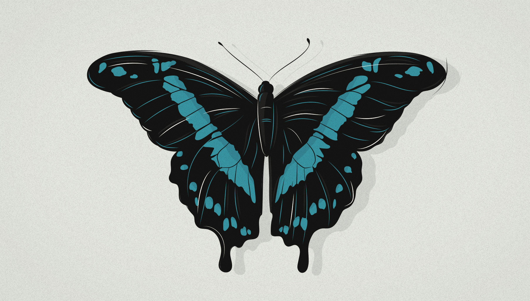 Papilio Hornimani