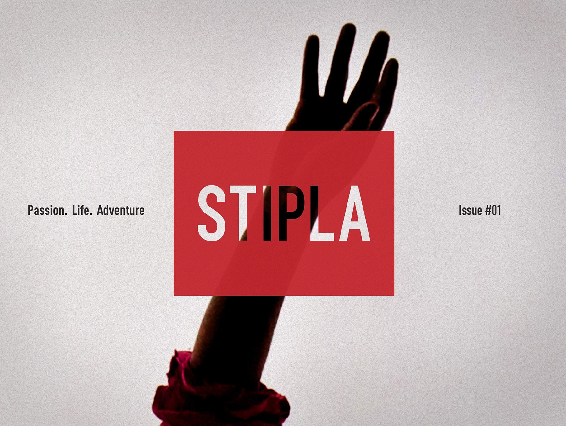 Stipla Magazine SPD winner